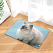 New Cat Print Doormat DHC07062313 - 1