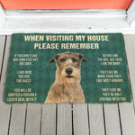 Irish Wolfhoundogs House Rules Doormat DHC04064268 - 1
