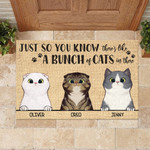 Just So You Know Theres Like A Bunch Of Cats In There Funny Personalized Doormat DHC04061721 - 1