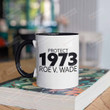 1973 Roe V Wade Mug, Reproductive Rights Mug Prochoice Gifts, Feminist Mug Human Rights Gifts