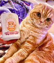 Custom Pet Portrait Mug, Cartoon Cat Art Mug, Cat Lover Gifts Mug