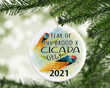 Funny Year Of The Cicada Ornament, Gift For Bugs Lovers Ornament, Christmas Gift Ornament