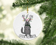 All Of The Otter Reindeer Ornament, Gift For Reindeer Lovers Ornament, Christmas Gift Ornament