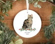 Personalized Tabby Cat Ornament, Cat Lover Ornament, Christmas Gift Ornament