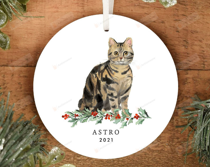 Personalized Tabby Cat Christmas Ornament Black And Brown Cat For Family Have Pets Decoration Hanging Ornament Gifts For Thanksgiving Christmas New Year