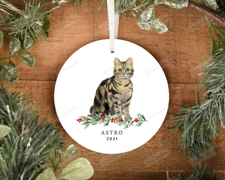 Personalized Tabby Cat Ornament, Cat Lover Ornament, Christmas Gift Ornament