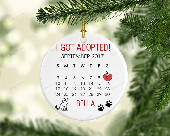 Personalized I Got Adopted Ornament, Gift For Cat Lovers Ornament, Christmas Gift Ornament
