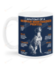 Anatomy Of A German Shorthaired Pointer Dogs Ceramic Mug Great Customized Gifts For Birthday Christmas Thanksgiving 11 Oz 15 Oz Coffee Mug