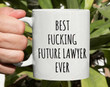 Future Lawyer Mug Law Student Gifts Lawyer Mug Law School Mug Aspiring Lawyer Lawyer Graduation Law Student Mug Attorney Mug