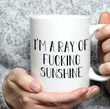 Ray Of Fucking Sunshine Mug, Funny Gift For Coworker, Best Friends On Birthday, Christmas