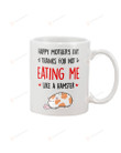 Mom Mug Happy Mother's Day Thanks For Not Eating Me Like Hamster Funny Gifts For Mother Tea Mug