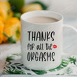 Thanks For All The Orgasms White Mugs, Funny Adult 11 Oz 15 Oz Coffee Mug, Valentine's Day Gifts For Couple, Him Her, Mr Mrs