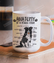 Anatomy Of A Border Collie Mug Cute Border Collie Knowledge Coffee Mug Dog Lovers Gift Mug Gift For Dog Mom Dog Dad Gift For Family Friends