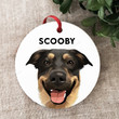 Personalized Dog Merry Christmas Ornament, Gift For Dog Lovers Ornament, Christmas Gift Ornament