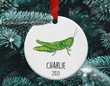 Personalized Grasshopper Christmas Ornament Grasshopper Ceramic Ornament Grasshopper Christmas Tree Decoration Gifts For Grasshopper Lover Hanging Decor Xmas Gifts