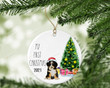 Personalized Bernedoodle First Christmas Ornament, Great Gift For Christmas