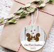Squirrels First Christmas Ornament, Gift For Squirrels Lovers Ornament, Christmas Gift Ornament