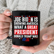 Joe Biden Is Showing America What A Great President Mug, Fjb Mug, Gifts For Republican