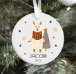 Personalized Llama Ornament, Llama Lover Gift Ornament, Christmas Gift For Baby Ornament