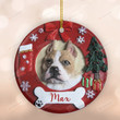 Personalized Pitbull Dog Christmas Ornament, Hanging Decoration Gifts For Pet, Dog Gifts, Gifts For Dog Mom Dog Dad On Christmas