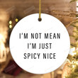 I'm Not Mean I'm Spicy Nice Ornament, Funny Gifts For Girlfriend Bestfriend, Gifts For Women Gifts For Her, Feminism Decoration Gifts On Birthday Christmas