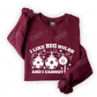 I Like Big Bulbs And I Cannot Lie Sweatshirt, Funny Couple Christmas Shirt Gifts For Women For Her