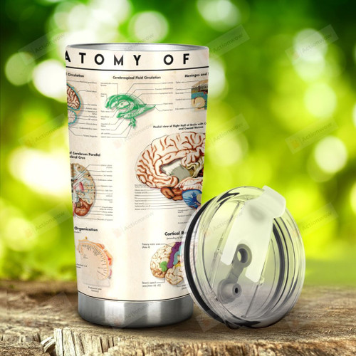 Human Brain Stainless Steel Tumbler, Tumbler Cups For Coffee/Tea, Great Customized Gifts For Birthday Christmas Thanksgiving