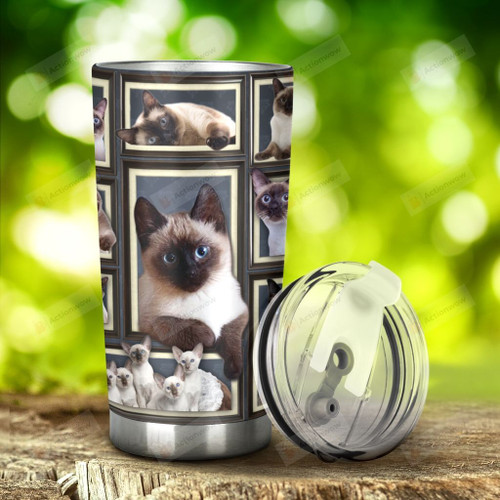 Siamese Cat Picture Frames Stainless Steel Tumbler, Tumbler Cups For Coffee/Tea, Great Customized Gifts For Birthday Christmas Thanksgiving