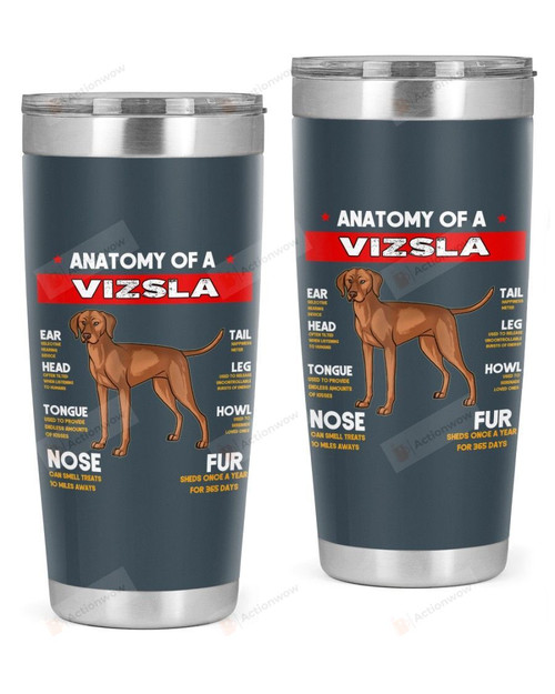 Anatomy Of A Vizsla Dogs Lovers Stainless Steel Tumbler, Tumbler Cups For Coffee/Tea, Great Customized Gifts For Birthday Christmas Thanksgiving