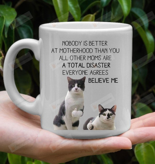 Cat Nobody Is Better At Motherhood Than You All Other Moms Are A Total Disaster Everyone Agrees Believe Me Mug Gifts For Mom, Mother's Day ,Birthday, Anniversary Ceramic Changing Color Mug 11-15 Oz