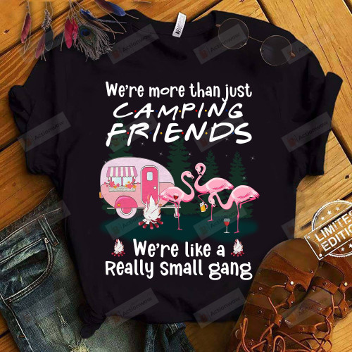 Camping Friends We're Like A Really Small Gang Funny T-Shirt Gift For Camping Lover Camping Friends On Anniversary Birthday