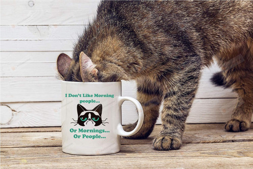 I Don't Like Morning People Mug, Cat Lovers Mug, Funny Grumpy Cat Mug, Crazy Cat Ladies Mug, Morning People Mug, Gifts For Cat Owners, For Pet Lovers Cat Dad Cat Mom