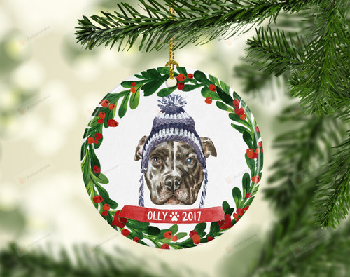 Personalized Pitbull Christmas Ornament, Pitbull Lover Ornament