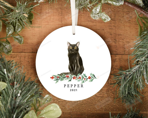 Personalized Black Cat Ornament, Gifts For Cat Owners Ornament, Christmas Gift Ornament