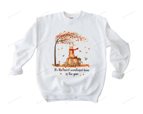 It's The Most Wonderful Time Of The Year Cat Sweatshirt, Autumn Cat Sweatshirt, Spooky Season, Fall Shirt Gifts For Cat Lovers Family Friend On Thanksgiving