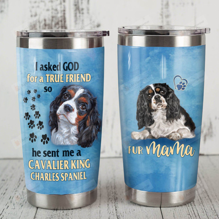 Cavalier King Charles Spaniel Dog I Asked God For A True Friend Stainless Steel Tumbler Perfect Gifts For Dog Lover Tumbler Cups For Coffee/Tea, Great Customized Gifts For Birthday Christmas Thanksgiving