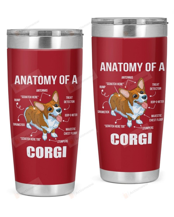 Anatomy Of Corgi Funny Dog Stainless Steel Tumbler, Tumbler Cups For Coffee/Tea, Great Gifts For Birthday Christmas Thanksgiving