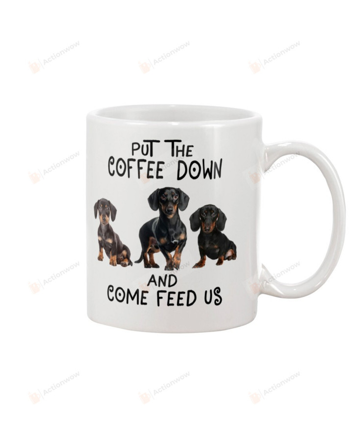Put The Coffee Down Dachshunds Mug Gifts For Animal Lovers, Birthday, Anniversary Ceramic Coffee 11-15 Oz
