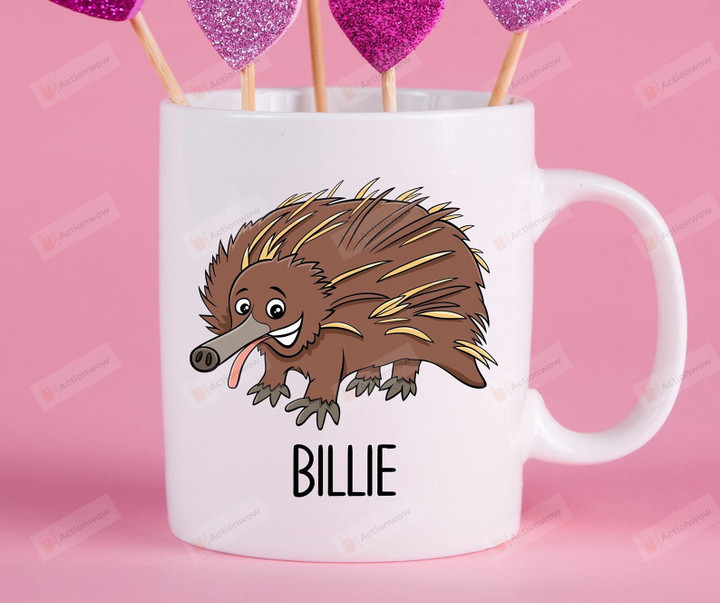 Personalized Echidna Mug Gifts For Echidna Lovers Mom Dad Child Couple Friends Coworkers Family Gifts Funny Mug Special Gifts For Birthday Christmas Thanksgiving