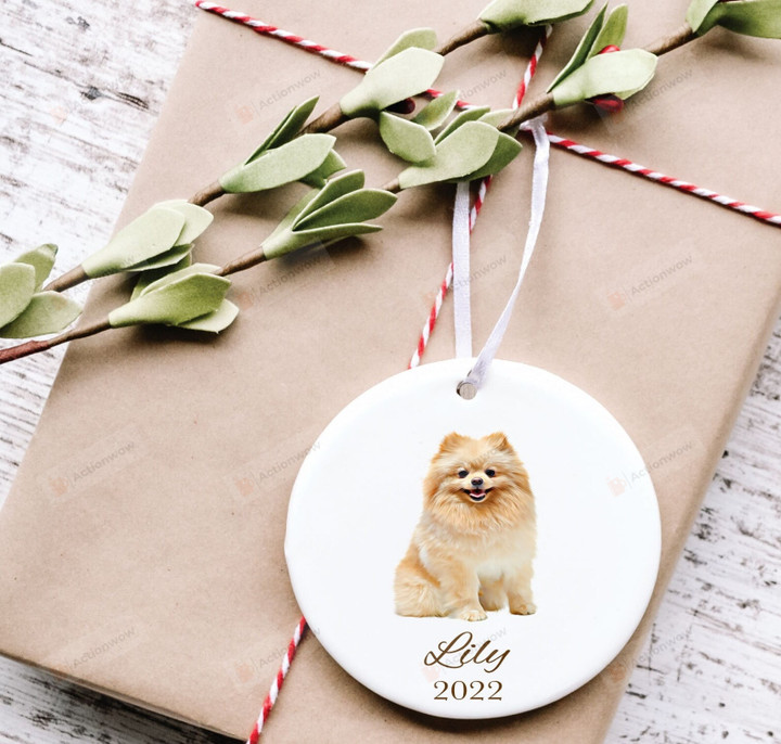 Personalized Pomeranian Dog Ornament, Gifts For Dog Owners Ornament