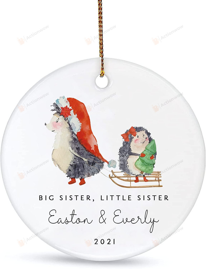 Personalized Big Sister Little Sister Christmas Ornament - Custom Names Cute Hedgehog Siblings Hanging Tree Ornament
