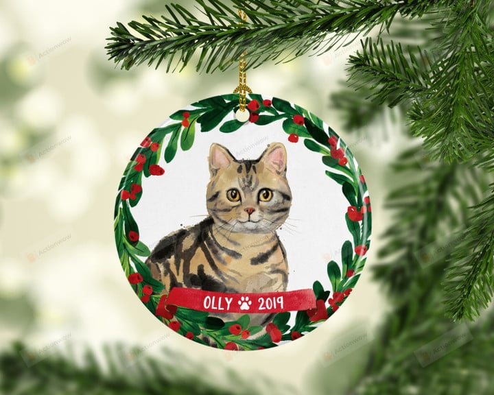 Personalized American Shorthair Ornament, Cat Lover Ornament, Christmas Gift Ornament