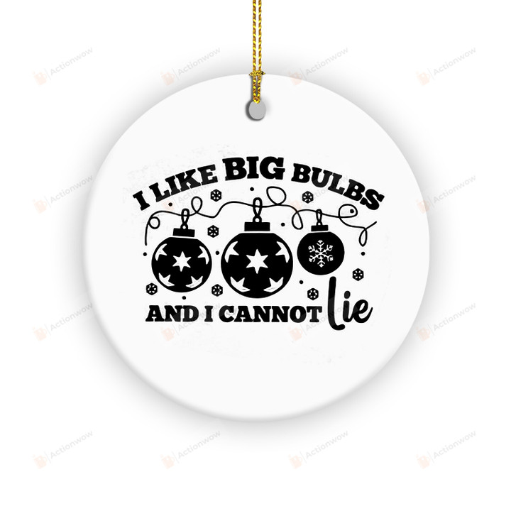 I Like Big Bulbs And I Cannot Lie Ornament, Funny Couple Christmas Ornament, Best Christmas Decoration Gifts Tree For Husband And Wife