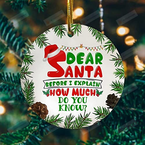 Dear Santa Before I Explain How Much Do You Know Christmas Ornament, Xmas Ornament, Christmas Ornaments 2022, Holiday Ornament, Santa Decoration