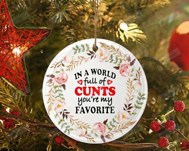 In A World Full Of Cunts Youre My Favorite Ornament, Christmas Ornament, Christmas Gif For Family, Couple, Friend