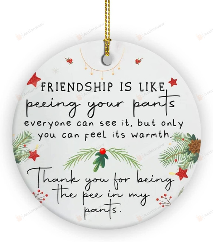 Friendship Is Like Peeing Your Pants Ornament, Friendship Ornament, Friendship Gifts