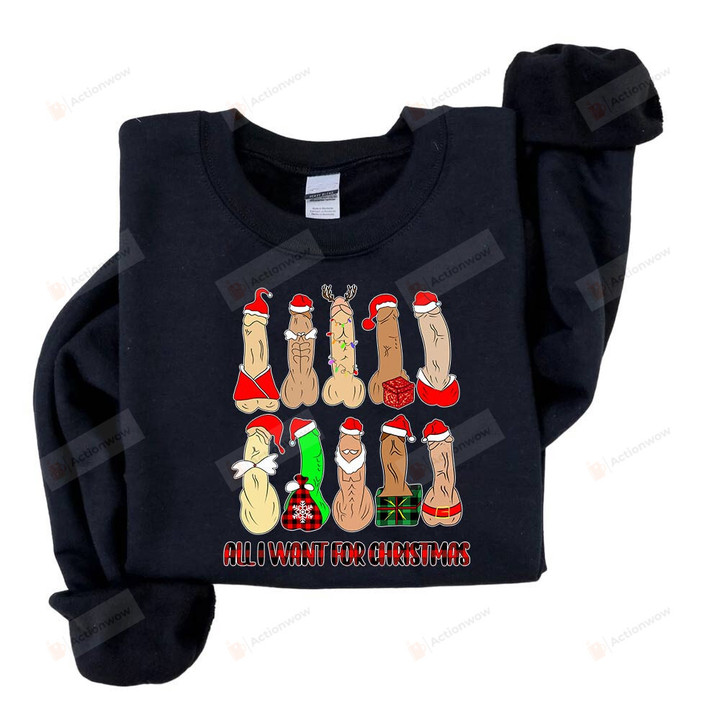 Irty Christmas Sweater, All I Want For Christmas Dirty Santa Funny Shirts, Naughty Santa Sweatshirt, Naughty Christmas Xmas Party Sweatshirt, Funny Christmas Shirt