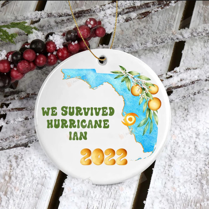 Year In Review Christmas Ornament, 2022 We Survived Hurricane Ian Ornament Keepsake