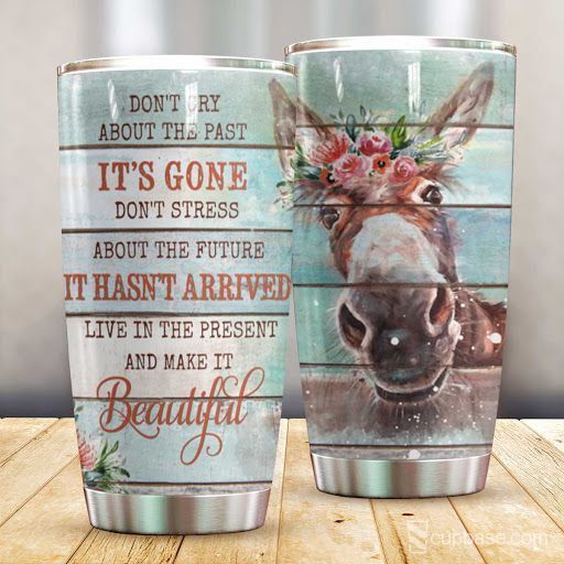 Live In The Present Donkey Tumbler H25P3