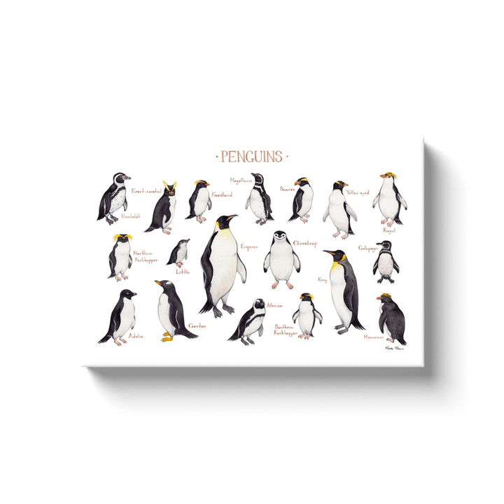 Penguins of the World Ready to Hang Canvas Print